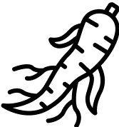 GINSENG EXTRAKT